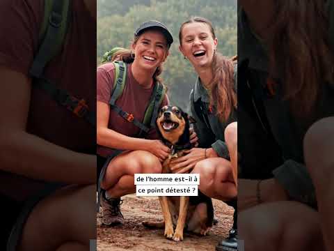 Pourquoi l'islam déteste les chiens ?